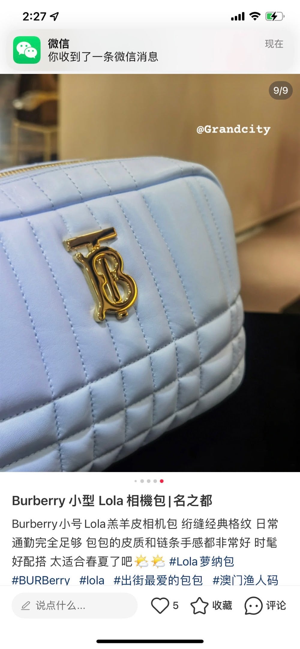 Dragons Bags Burberryn Luxury Bag --91676