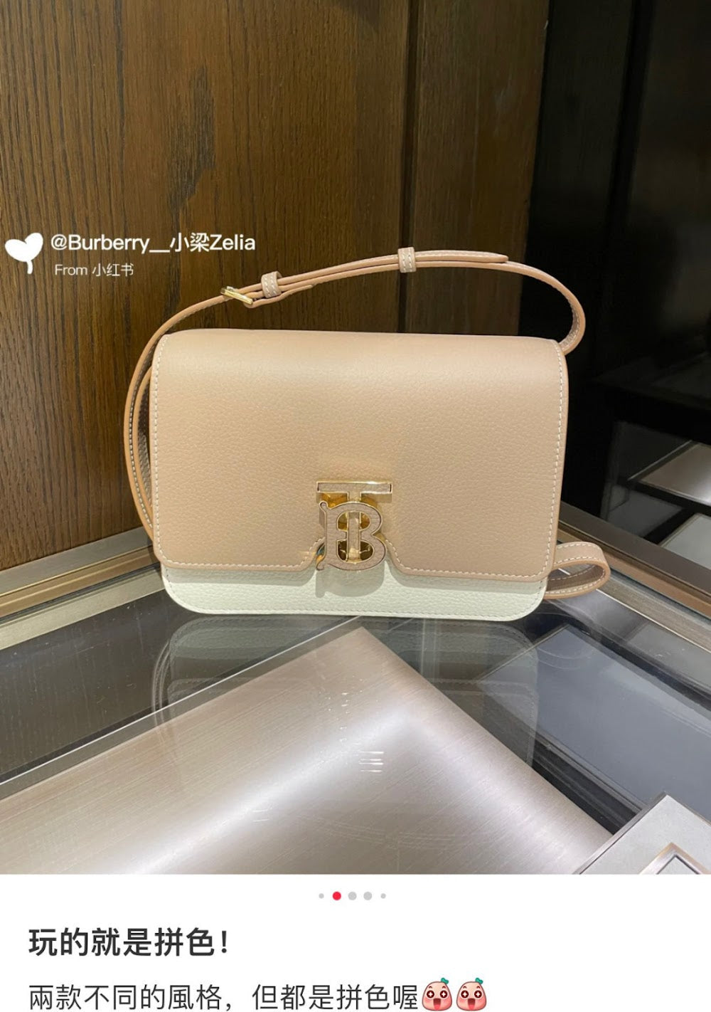 Dragons Bags Burberryn Luxury Bag --92099