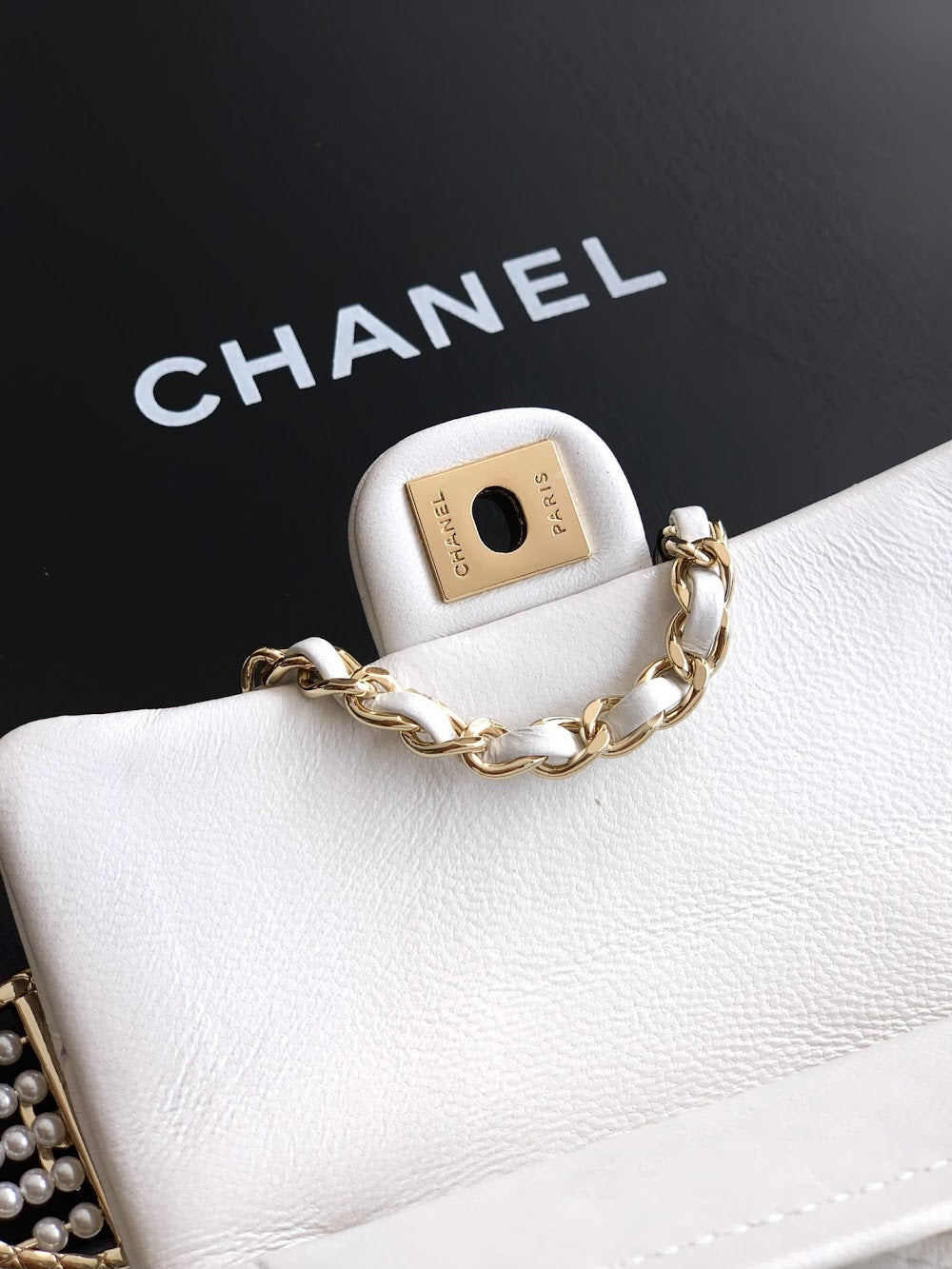 Dragons Bags CHn Luxury Bag --112666