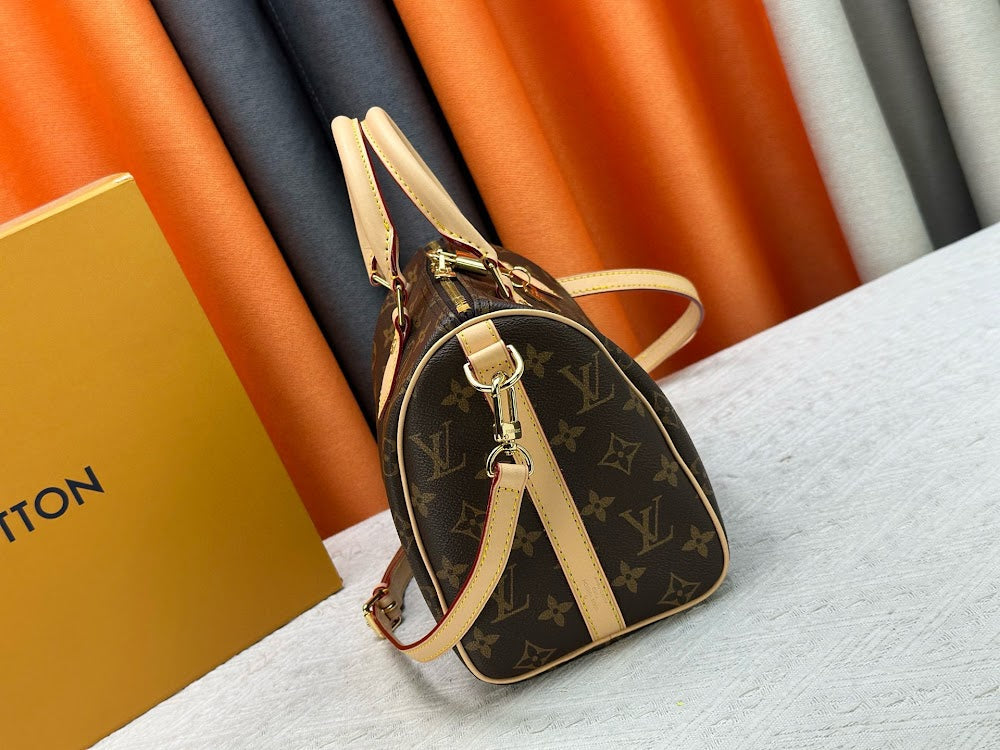 Dragons Bags LVn Luxury Bag --79438