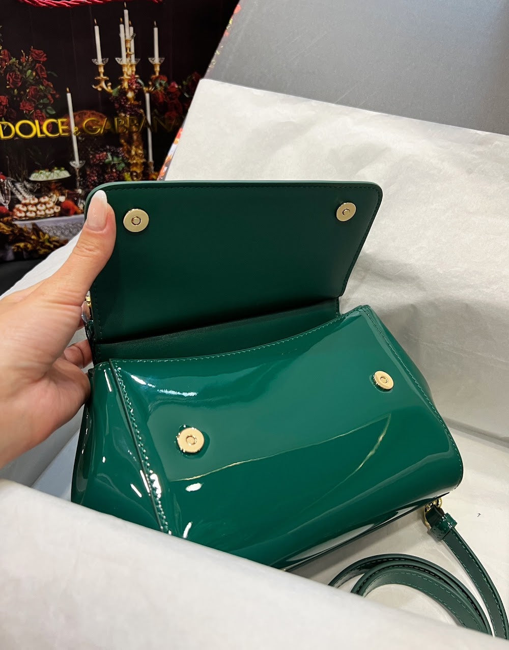 Dragons Bags DGn Luxury Bag --93296