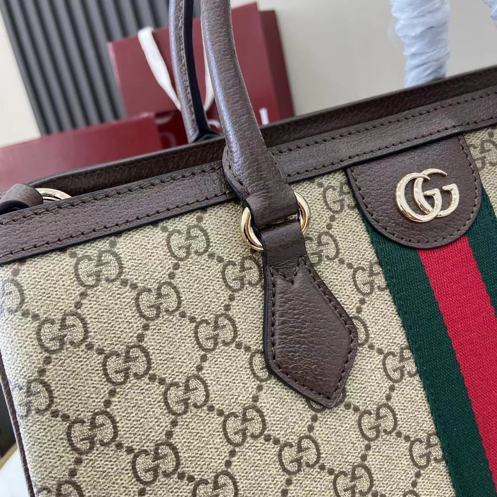 Dragons Bags Guccin Luxury Bag --94671