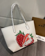 new-luxury-designer-bags-nm6568