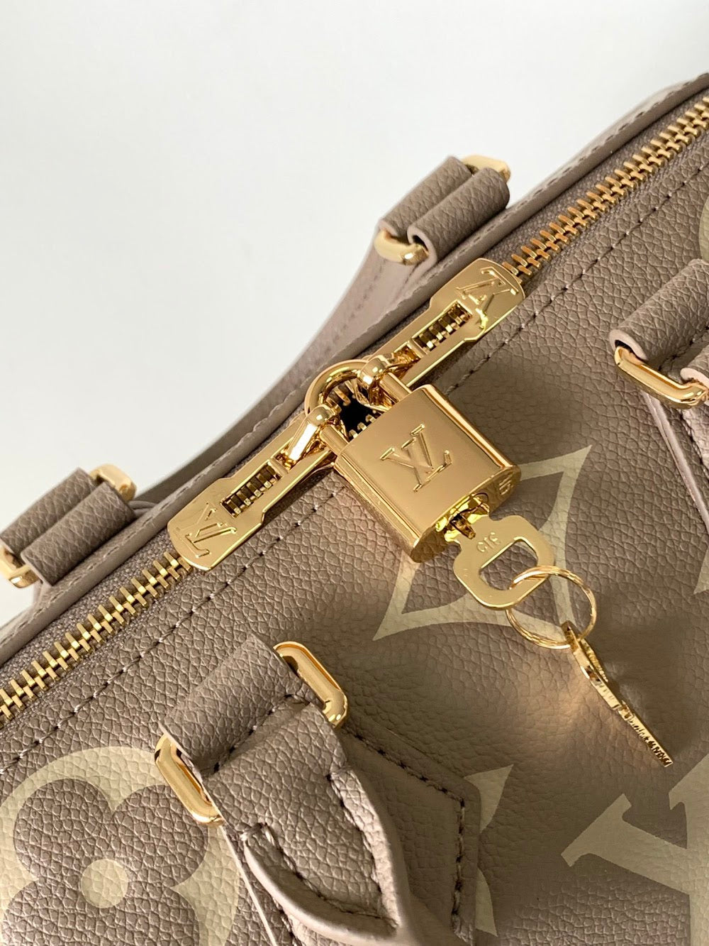 Dragons Bags LVn Luxury Bag --79993
