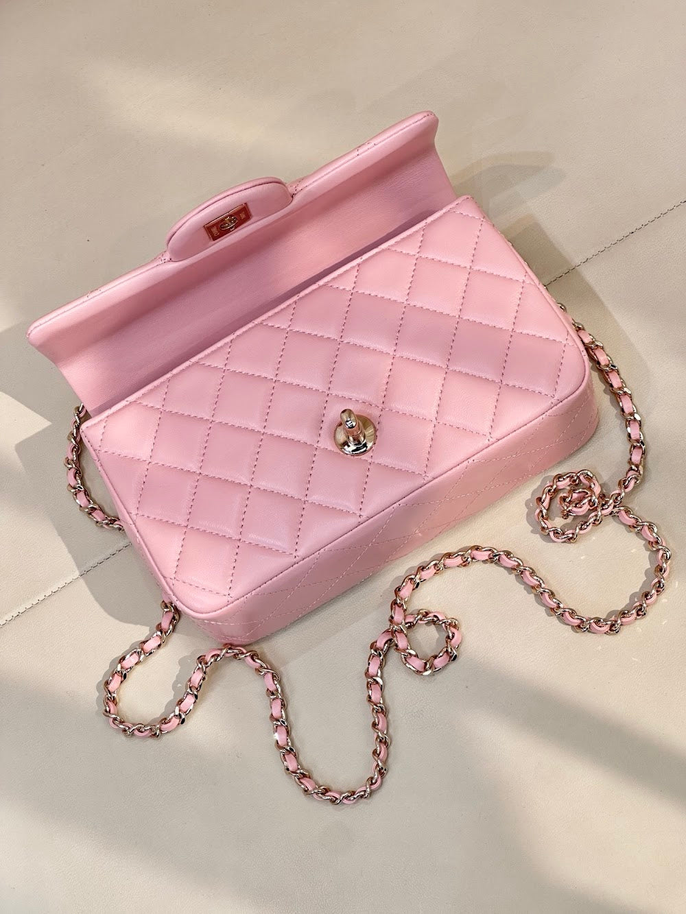 Dragons Bags CHn Luxury Bag --112879