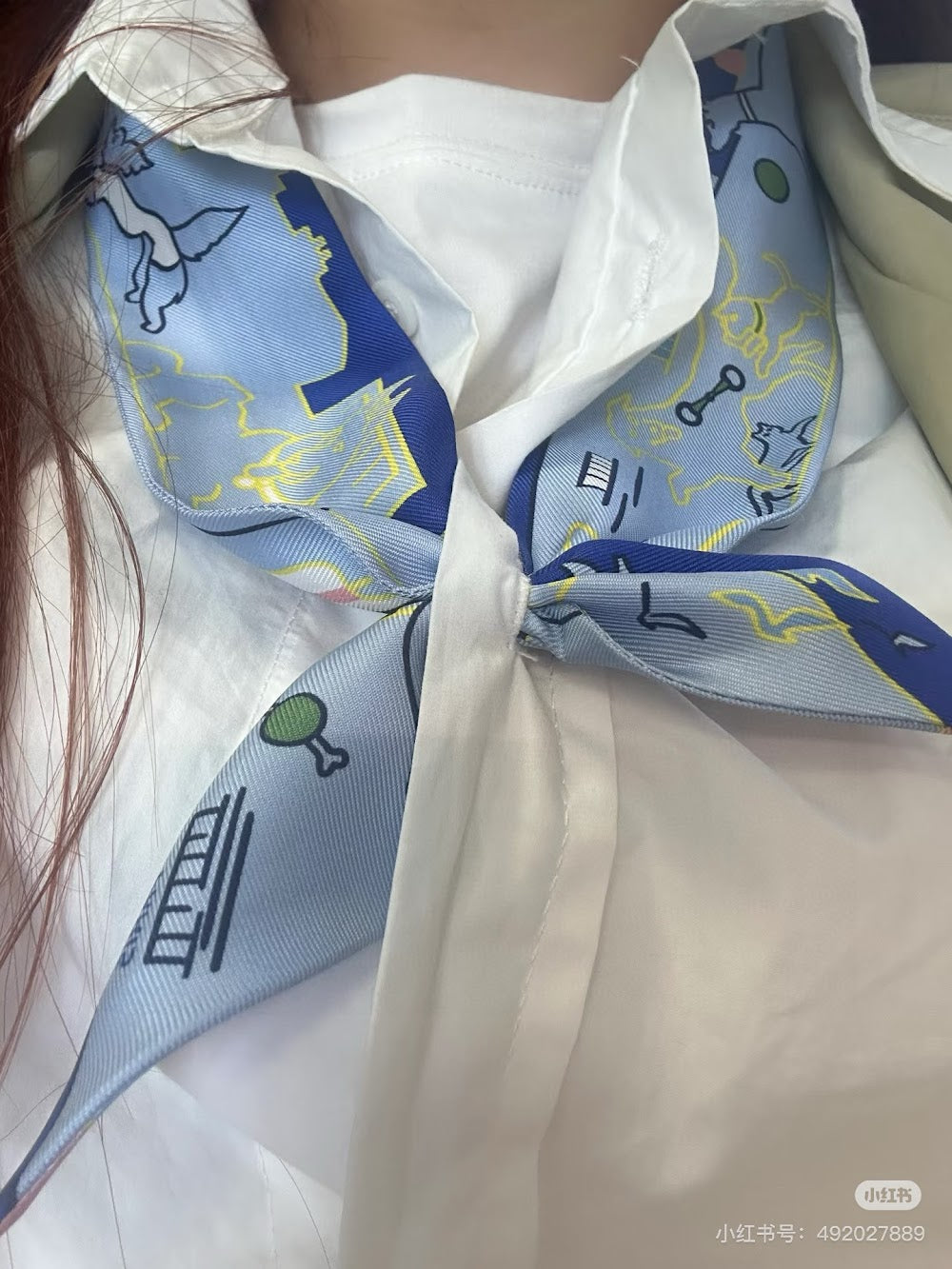 Dragons Bags Premium Designer Scarf --98919