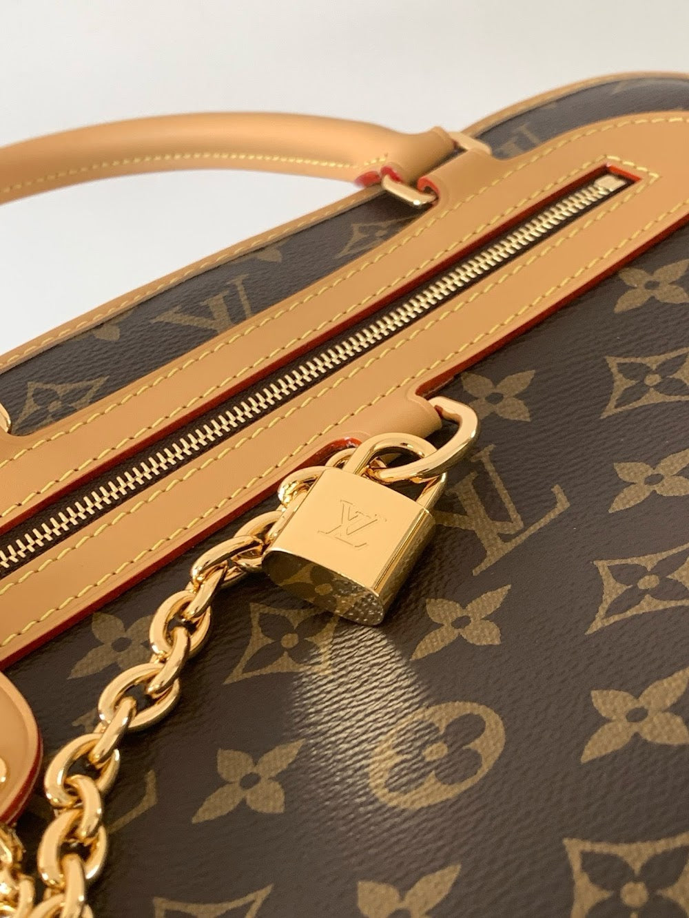 Dragons Bags ln Luxury Bag --81787