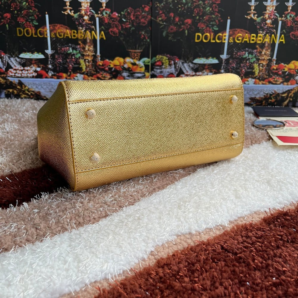Dragons Bags DGn Luxury Bag --94118