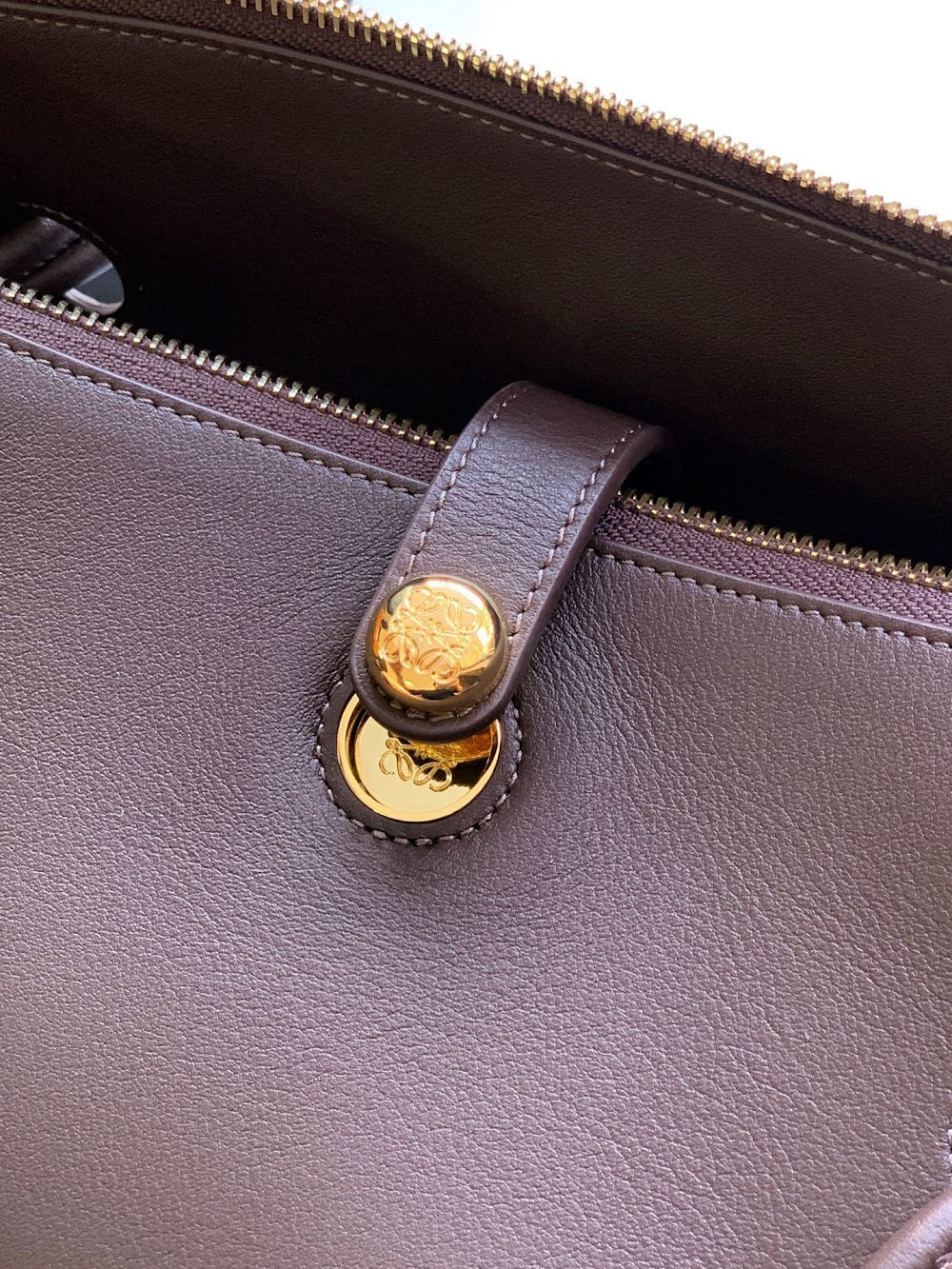 Dragons Bags Lowen Luxury Bag --99724