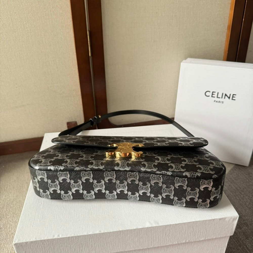 Dragons Bags Celine Luxury Bag --112507