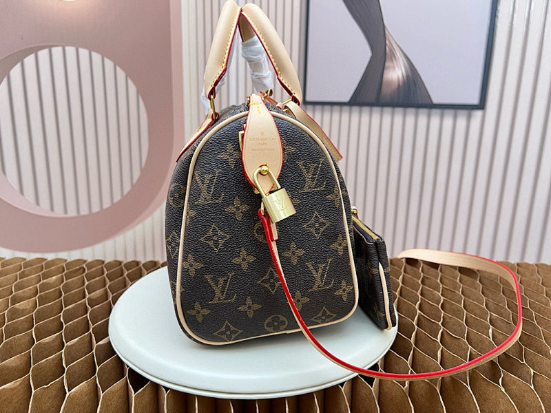 Dragons Bags LVn Luxury Bag --79643