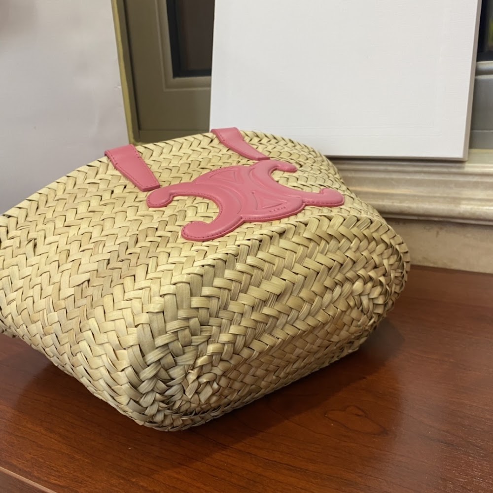 Dragons Bags Celine Luxury Bag --111979