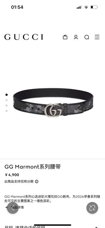 Dragons Bags Guccin Luxury Belt --105712