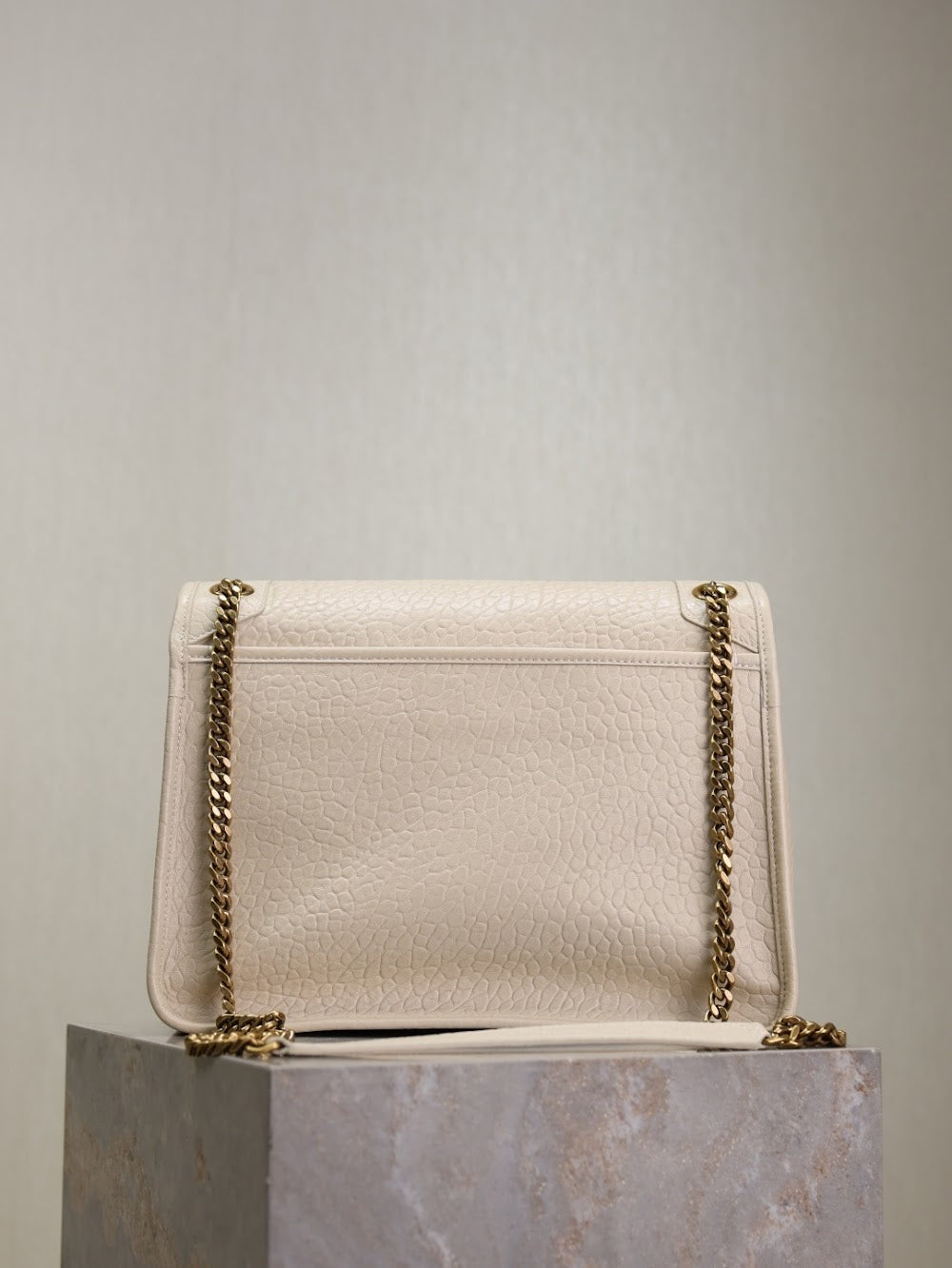 Dragons Bags YSLn Luxury Bag --119695