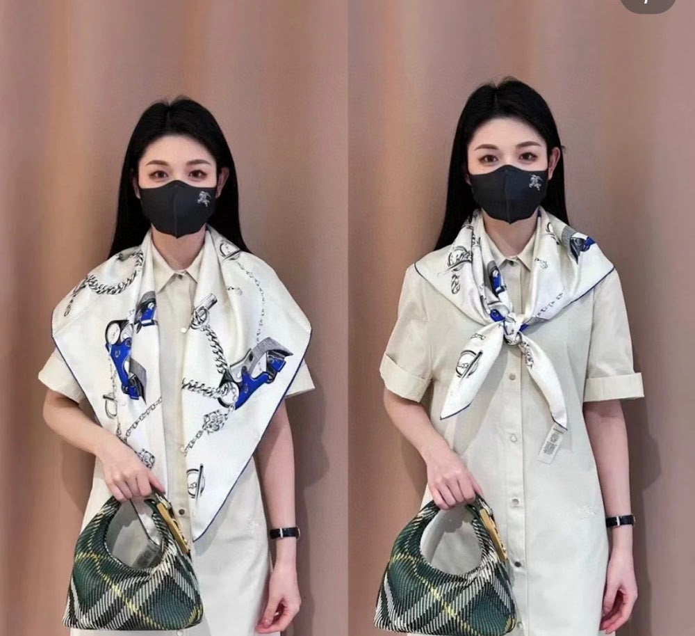 Dragons Bags Burberryn Luxury Bag --91590