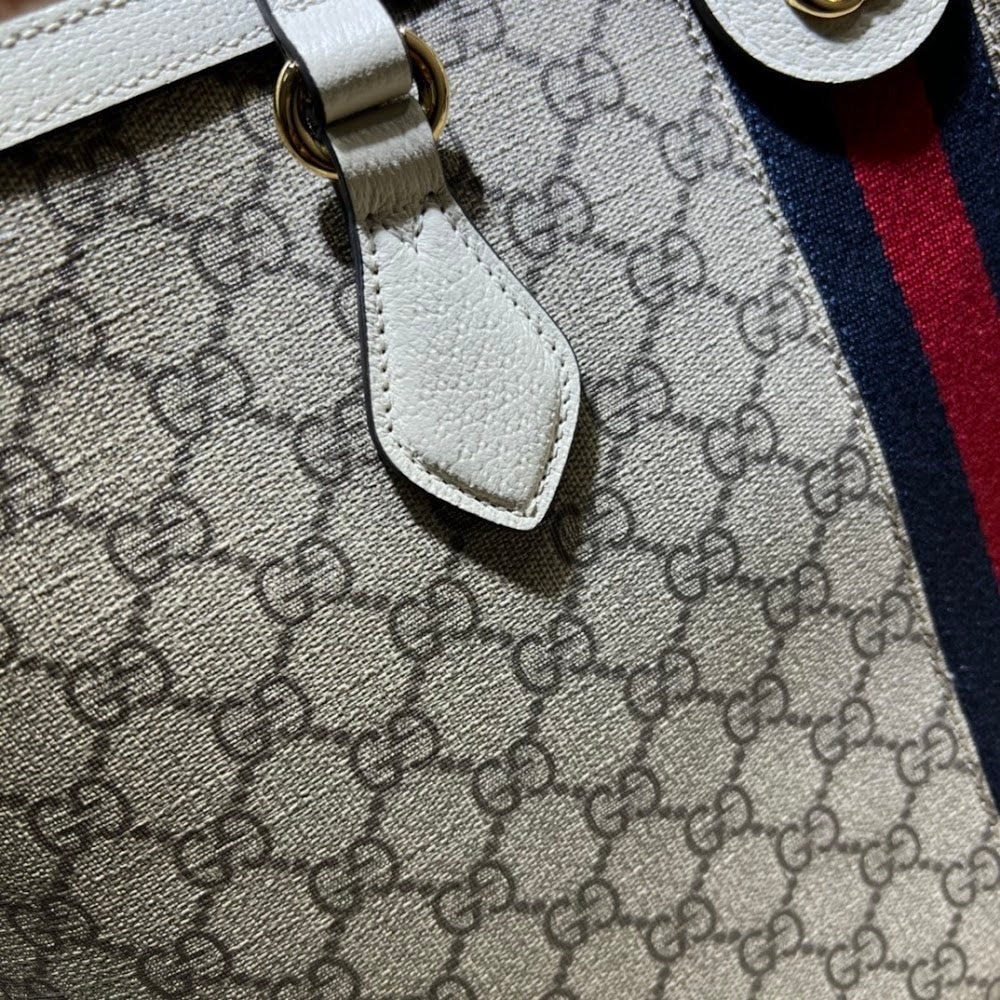 Dragons Bags Guccin Luxury Bag --95510