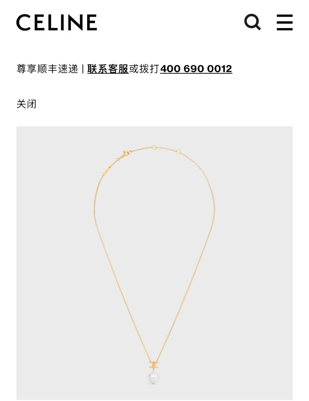 Dragons Bags Luxury Necklace --55649