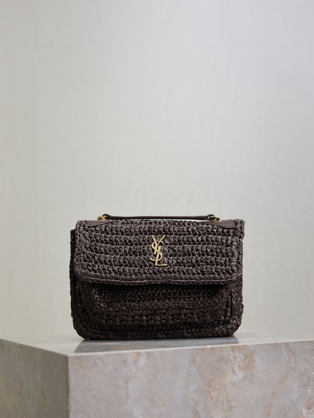Dragons Bags YSLn Luxury Bag --119852