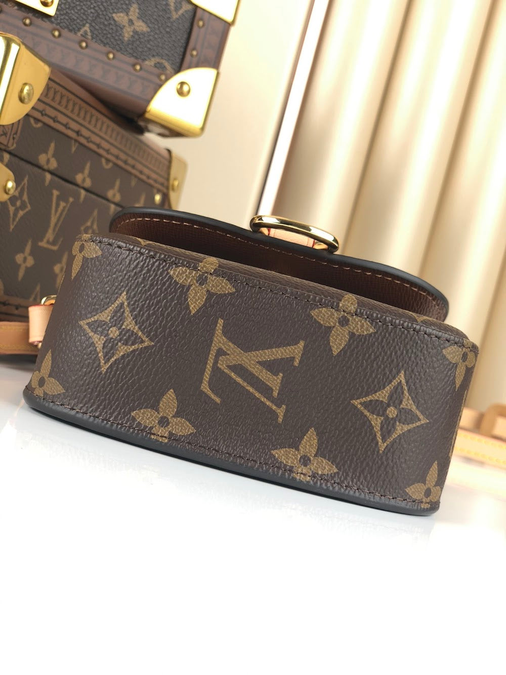 Dragons Bags ln Luxury Bag --66868