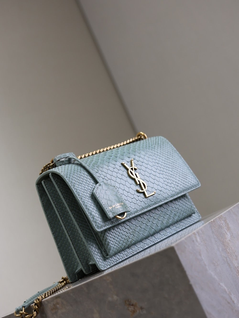 Dragons Bags YSLn Luxury Bag --119172