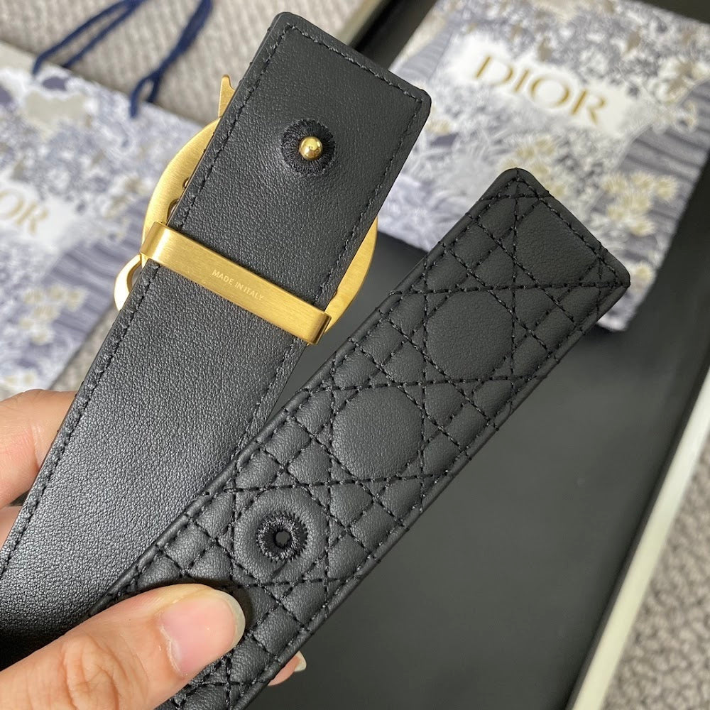 Dragons Bags Diorn Luxury Belt --104877