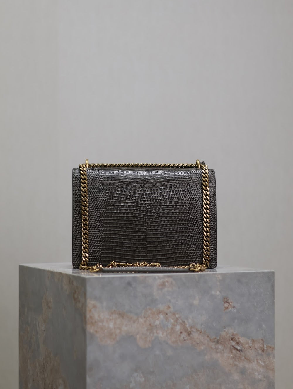 Dragons Bags YSLn Luxury Bag --119544
