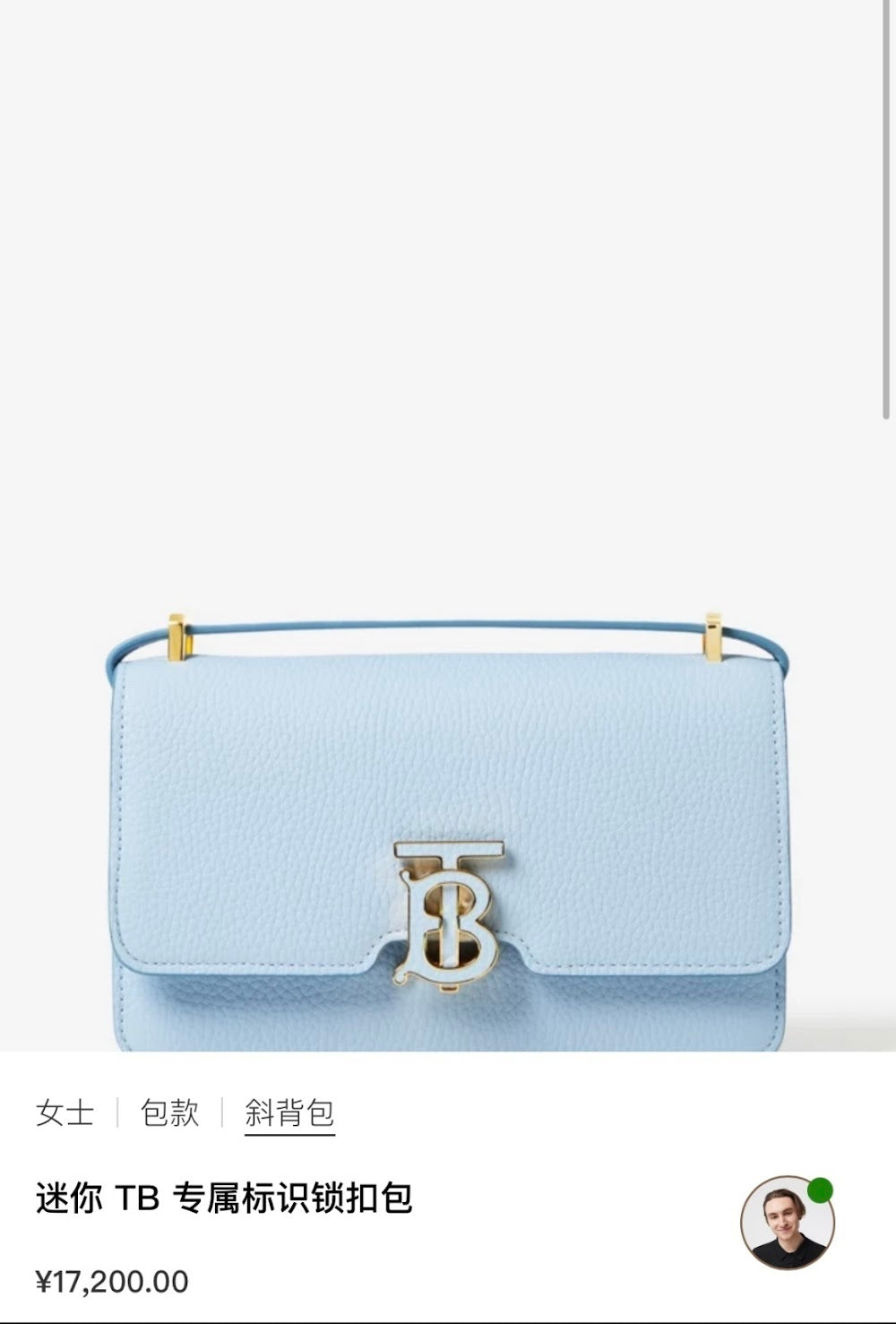 Dragons Bags Burberryn Luxury Bag --91601