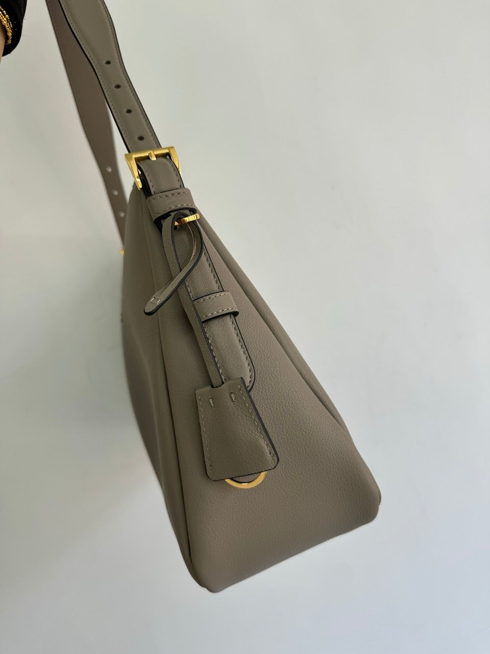Dragons Bags Pradn Luxury Bag --102560