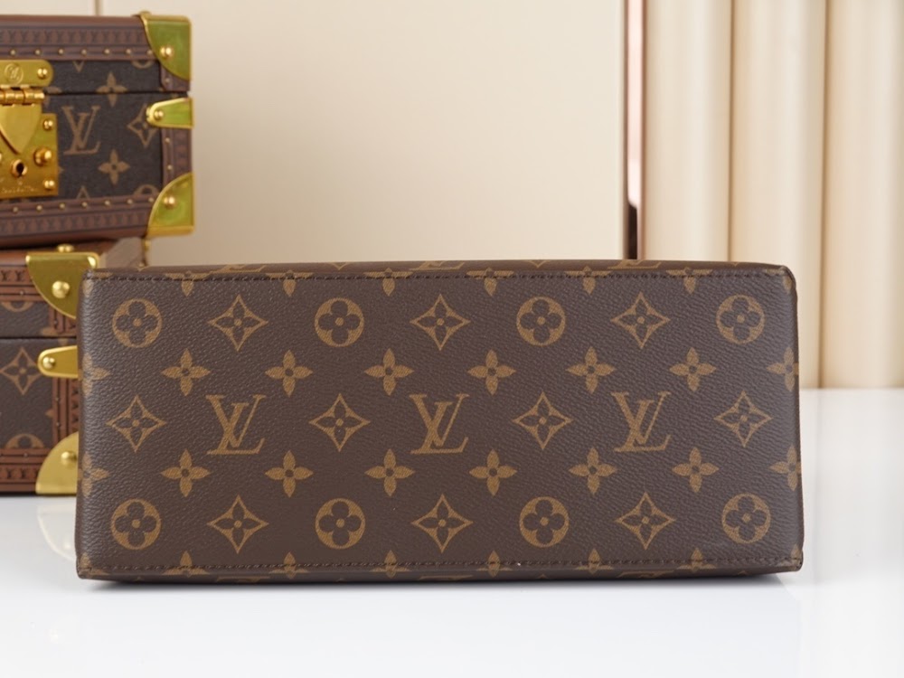 Dragons Bags ln Luxury Bag --66775