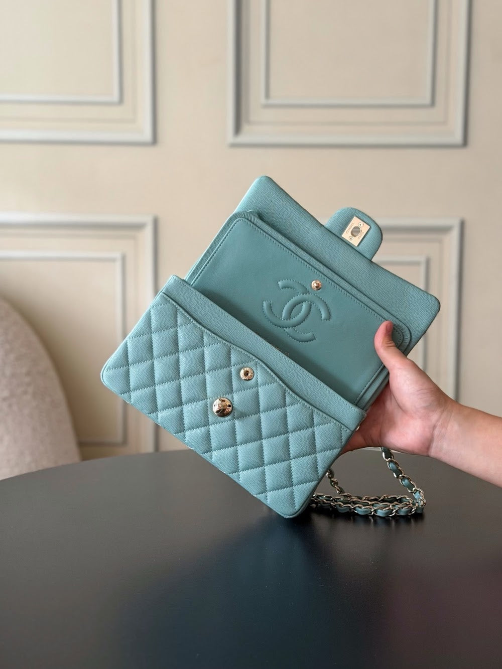Dragons BagsCHn Luxury Bag --113883
