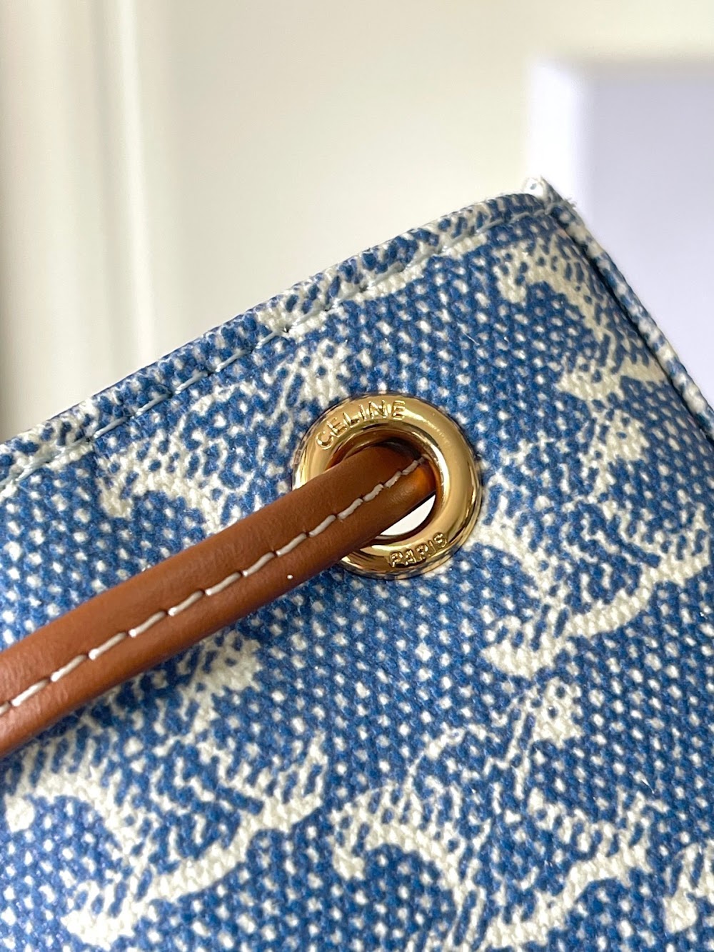 Dragons Bags Celine Luxury Bag --112321