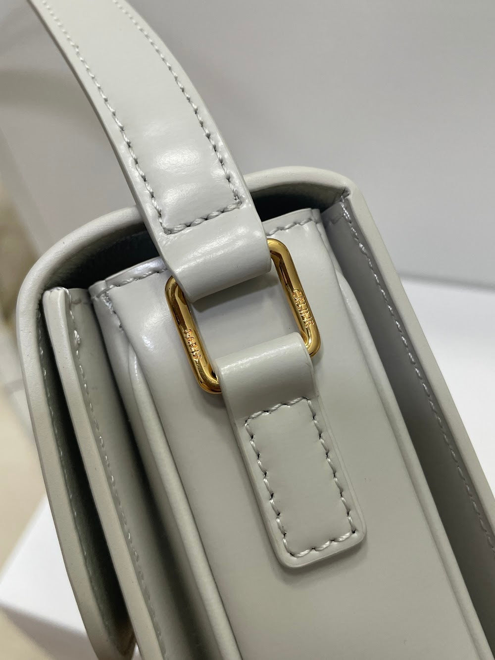 Dragons Bags Celine Luxury Bag --111998