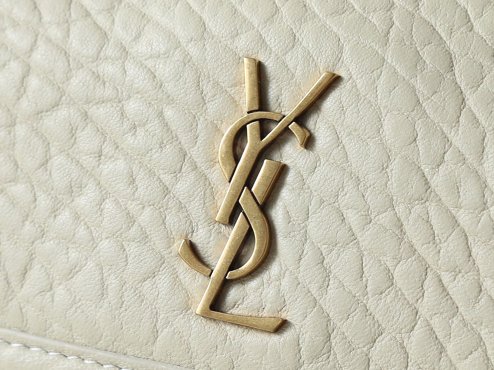 Dragons Bags YSLn Luxury Bag --120724