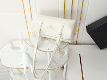 new-luxury-designer-bags-nm2105