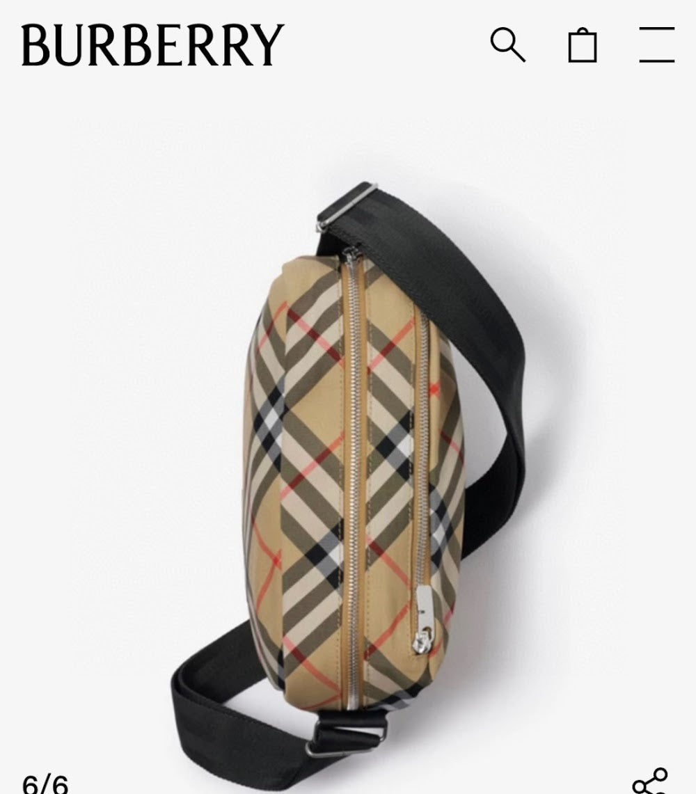 Dragons Bags Burberryn Luxury Bag --92636