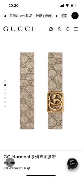 Dragons Bags Guccin Luxury Belt --105688