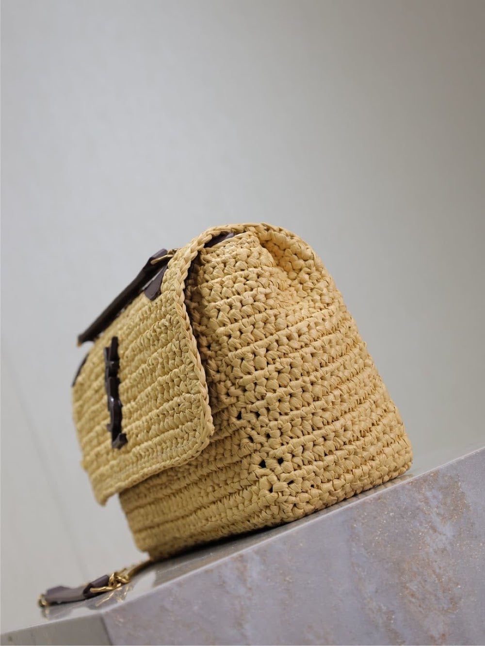 Dragons Bags YSLn Luxury Bag --120221