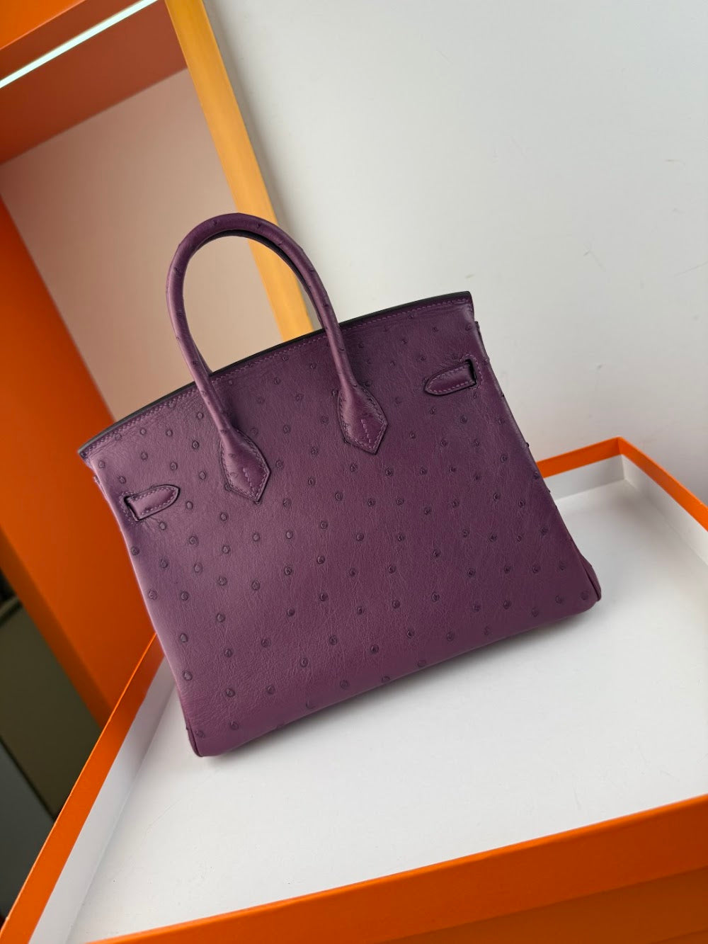 Dragons BagsHermesn Luxury Bag --116761