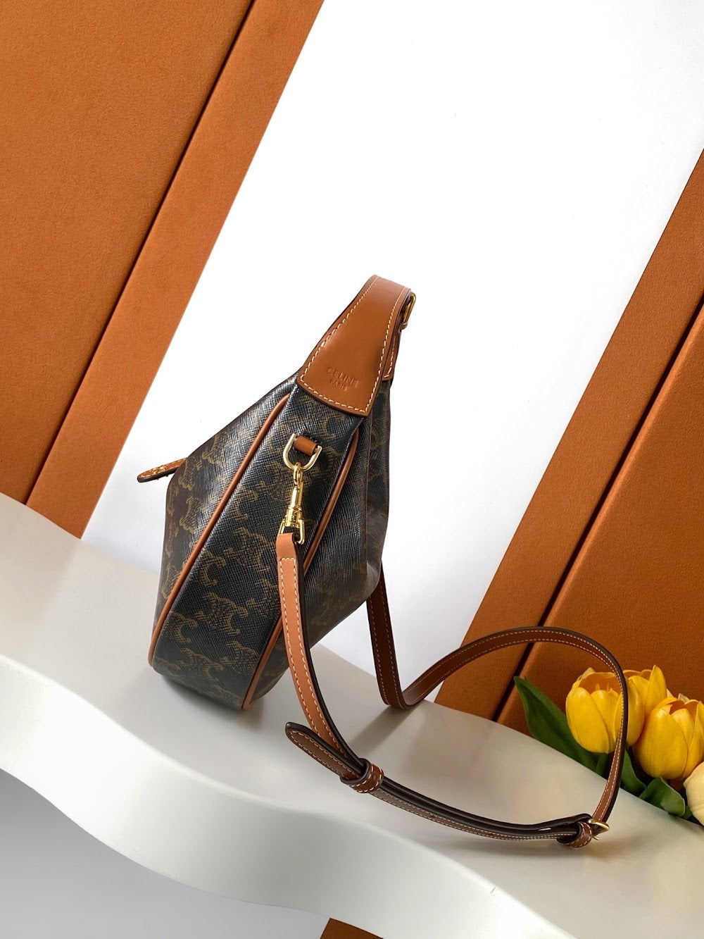 Dragons Bags Celine Luxury Bag --112074