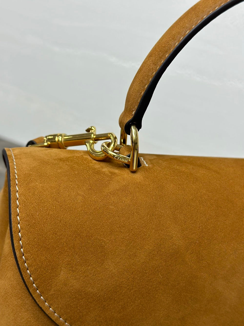 Dragons Bags Celine Luxury Bag --112337