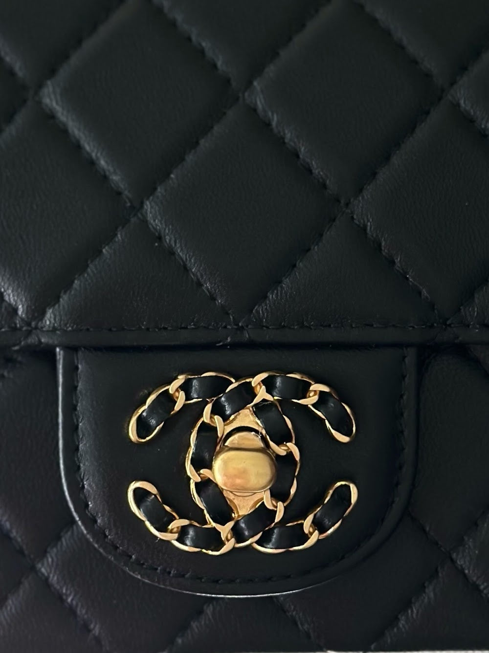 Dragons Bags CHn Luxury Bag --112954