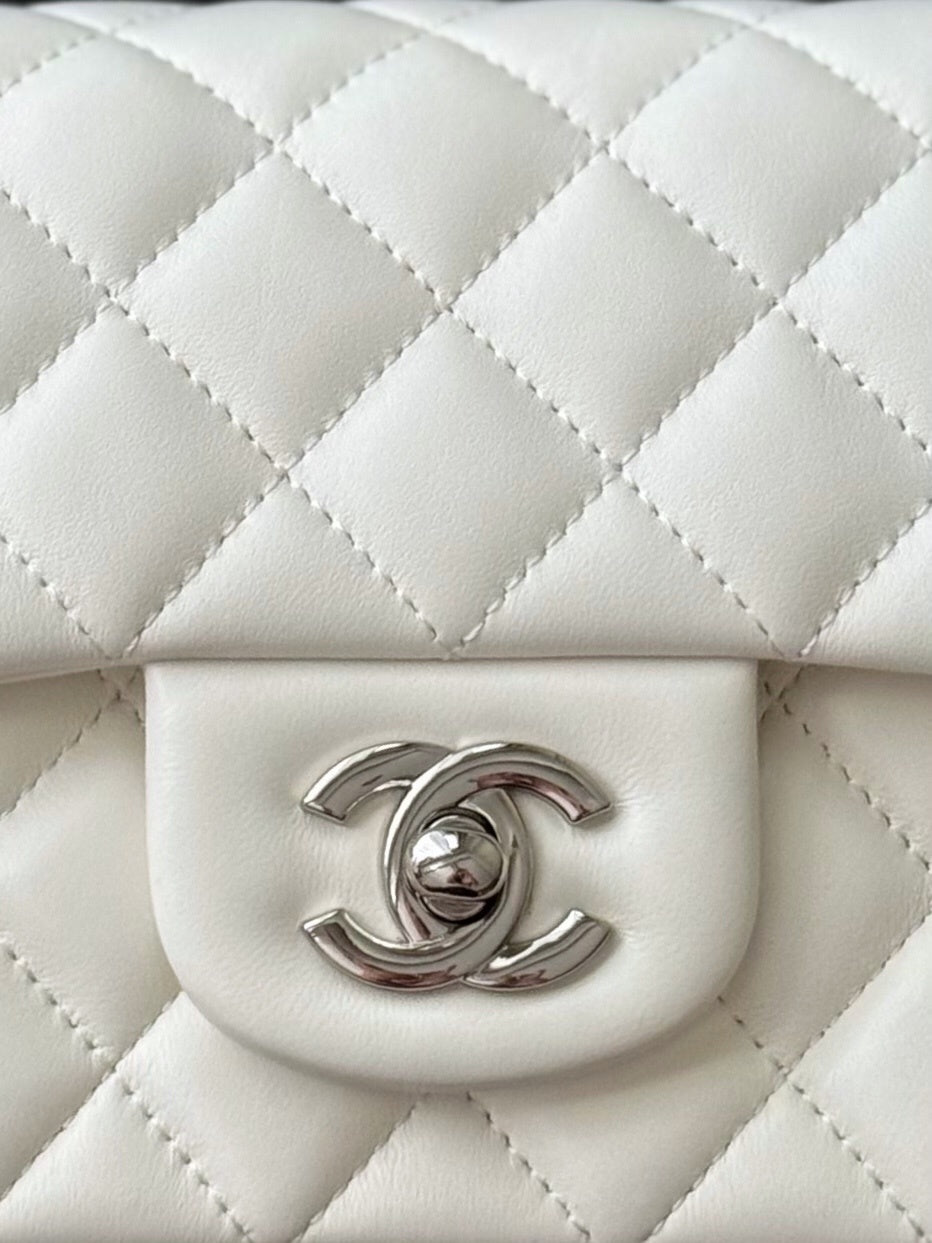 Dragons Bags CHn Luxury Bag --113051