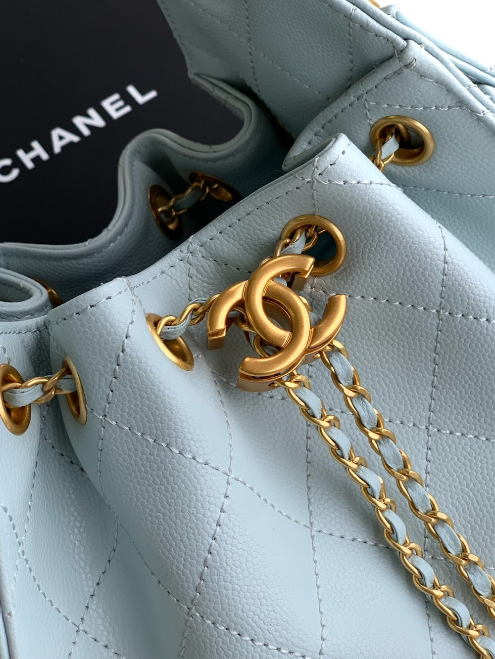 Dragons Bags CHn Luxury Bag --112894