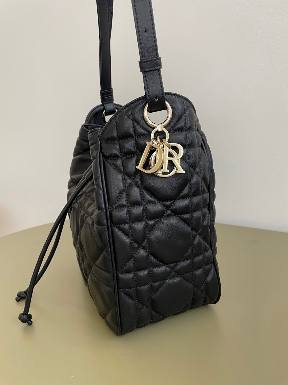 Dragons BagsDiorn Luxury Bag --114960