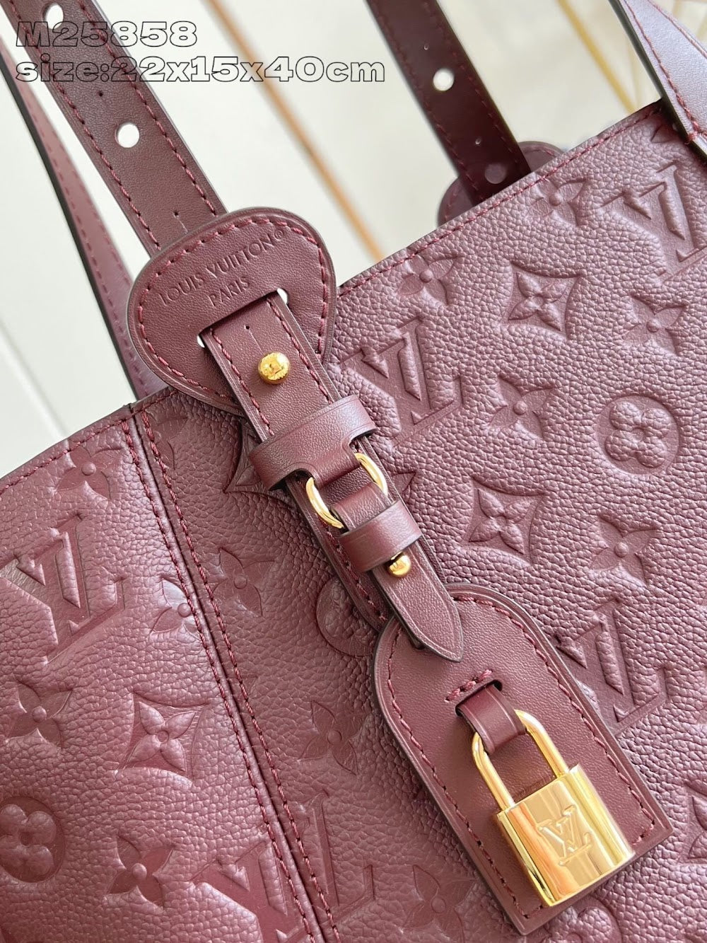 Dragons Bags ln Luxury Bag --96858
