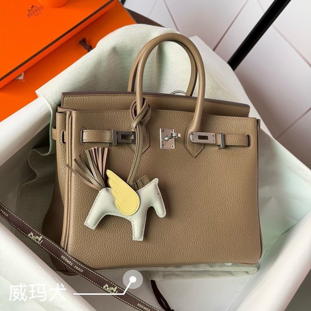 Dragons BagsHermesn Luxury Bag --118652