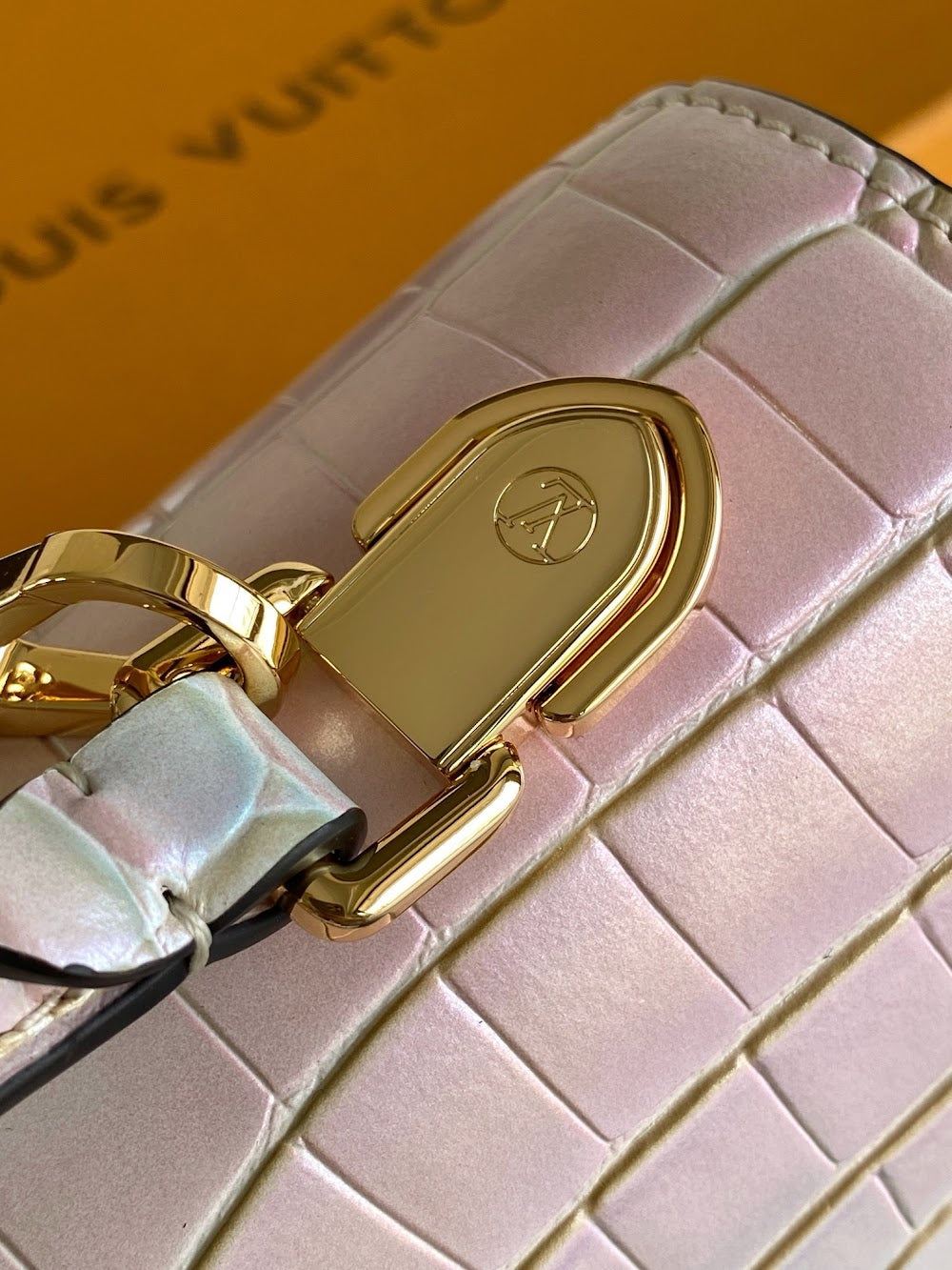 Dragons Bags ln Luxury Bag --96261