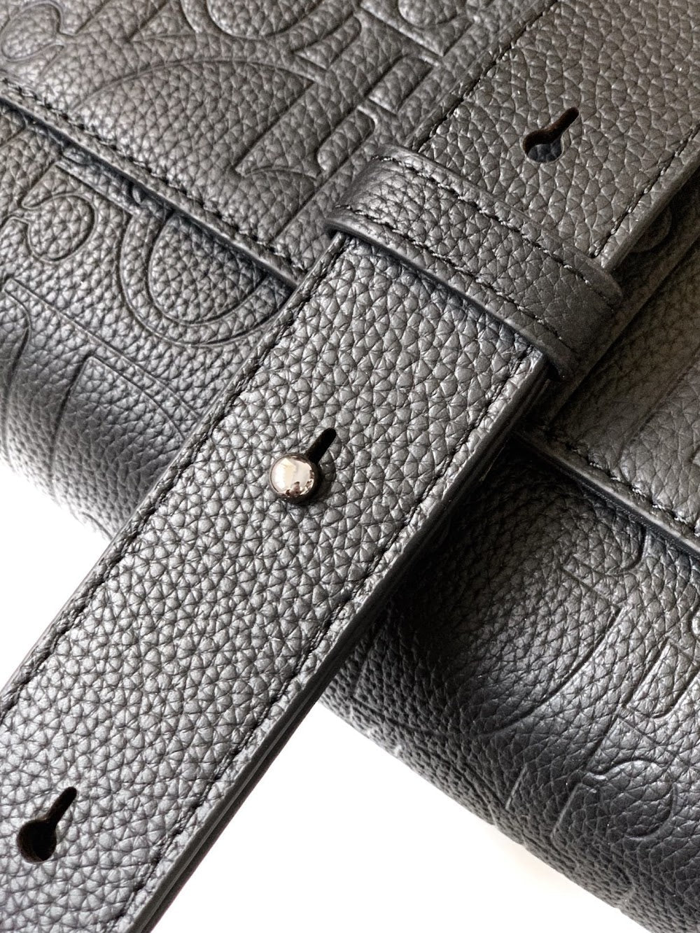 Dragons BagsDiorn Luxury Bag --116010
