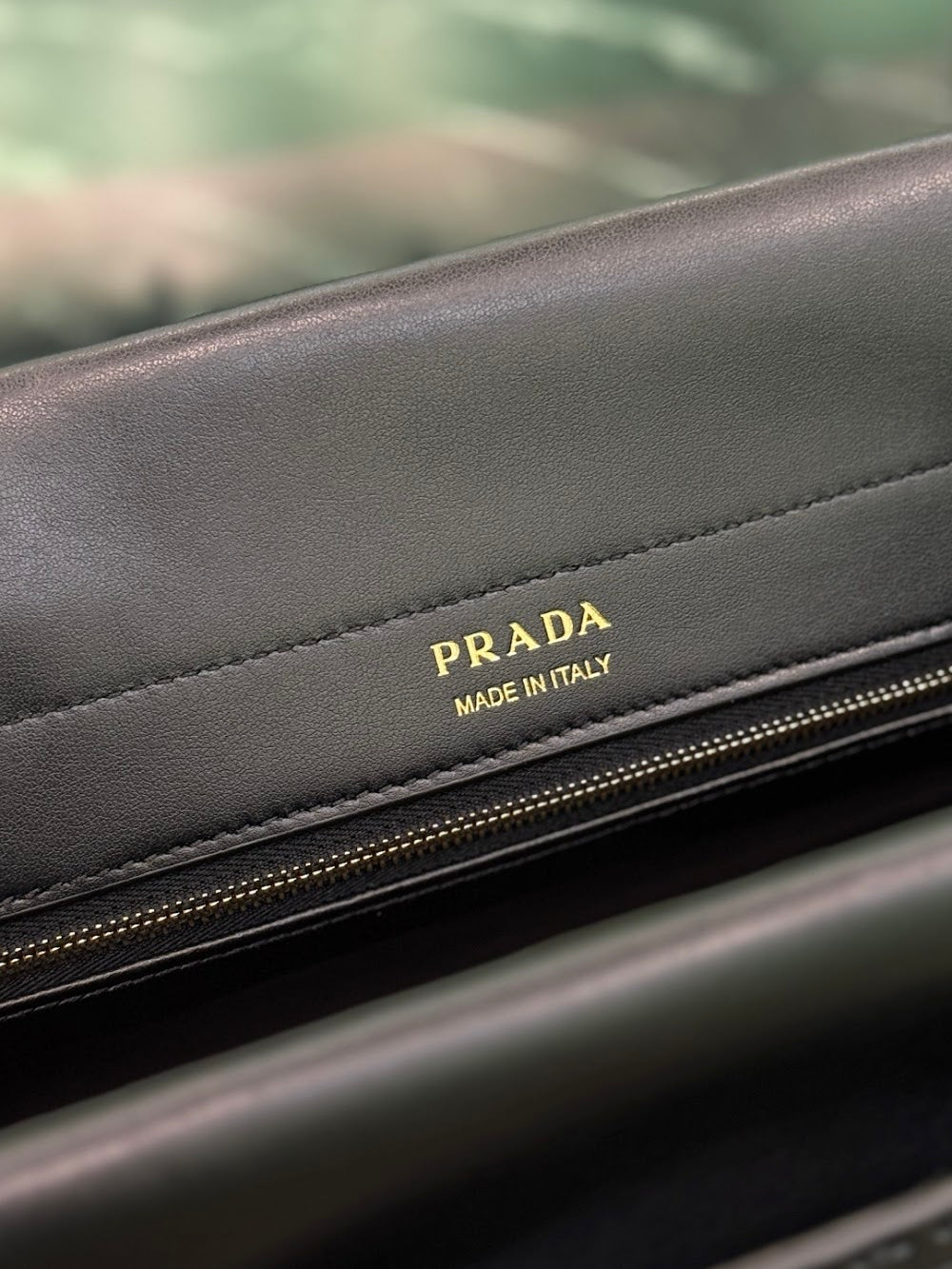 Dragons Bags Pradn Luxury Bag --102996