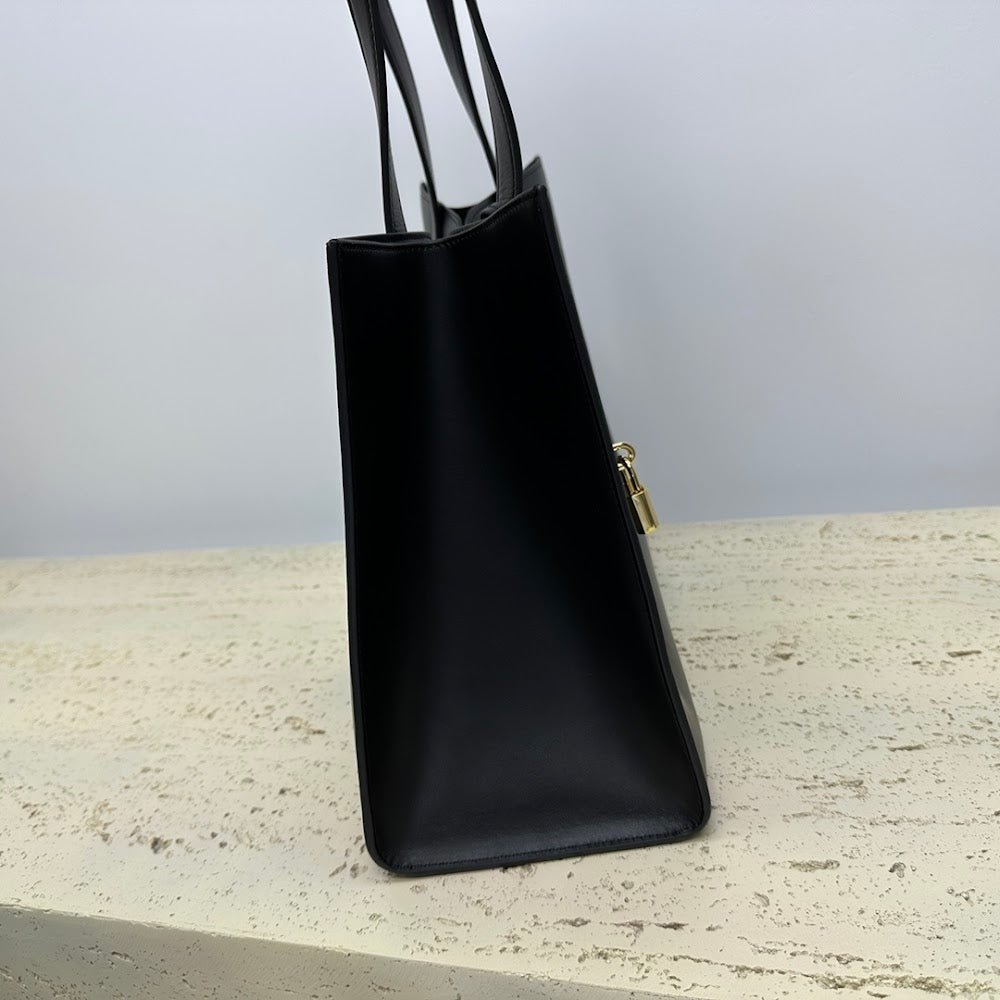 Dragons Bags Celine Luxury Bag --112488